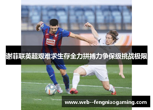 谢菲联英超艰难求生存全力拼搏力争保级挑战极限