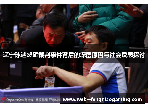 辽宁球迷怒砸裁判事件背后的深层原因与社会反思探讨
