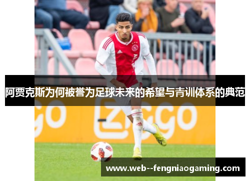 阿贾克斯为何被誉为足球未来的希望与青训体系的典范